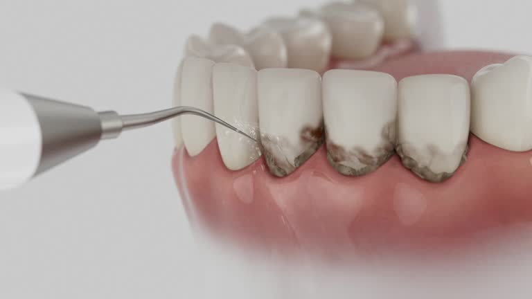 Reliable Dental contractor in St. Charles, MN by Dentist Open Now
